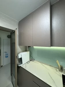 BLK 224B TENGAH GARDEN AVE (19)